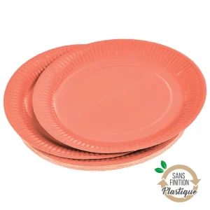 Assiettes Carton x20