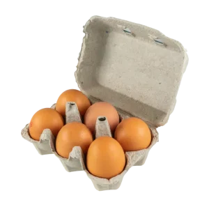 OEUF FRAIS x6